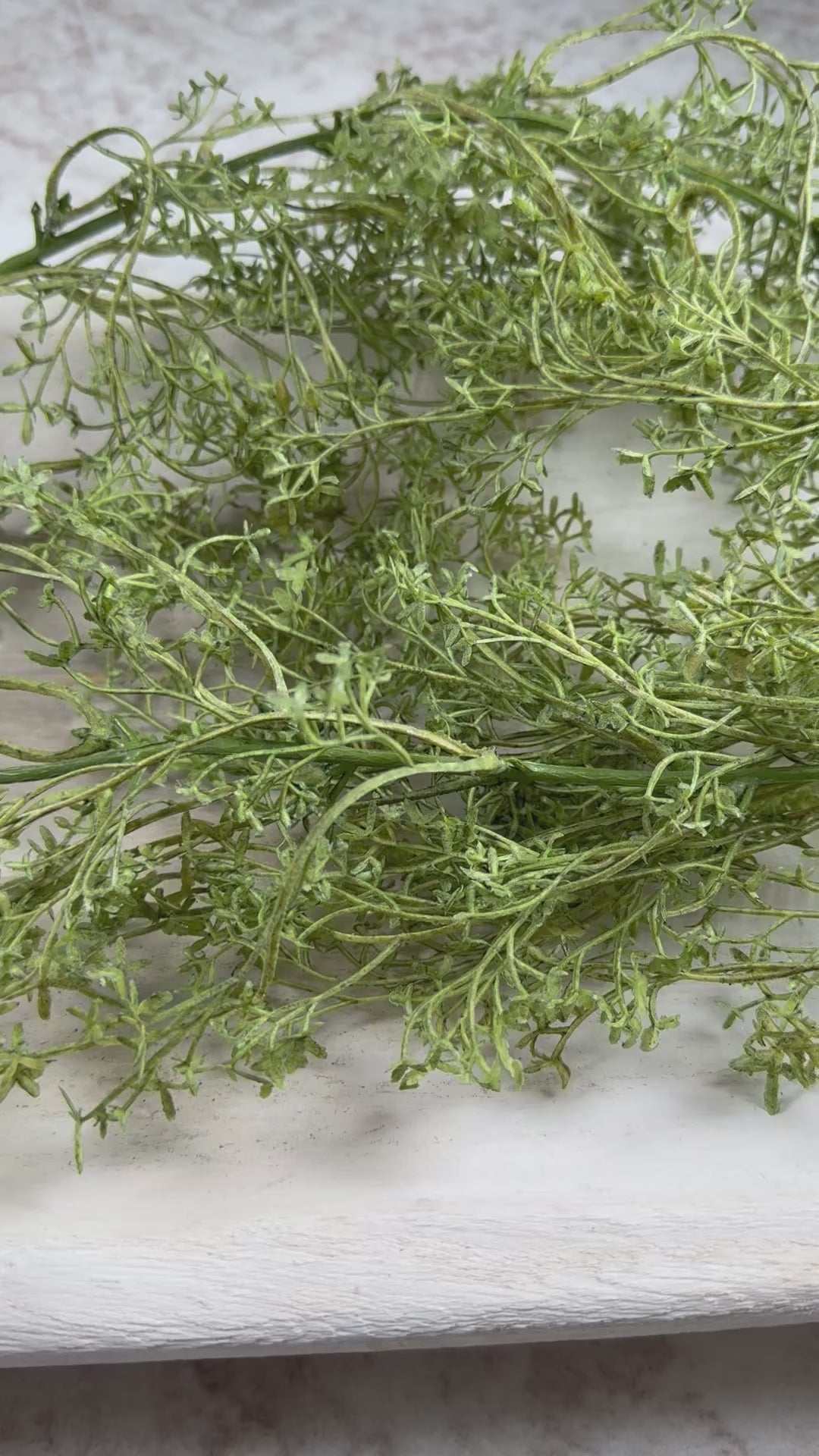 Preserved Fern Earrings, Rounded Rectangle