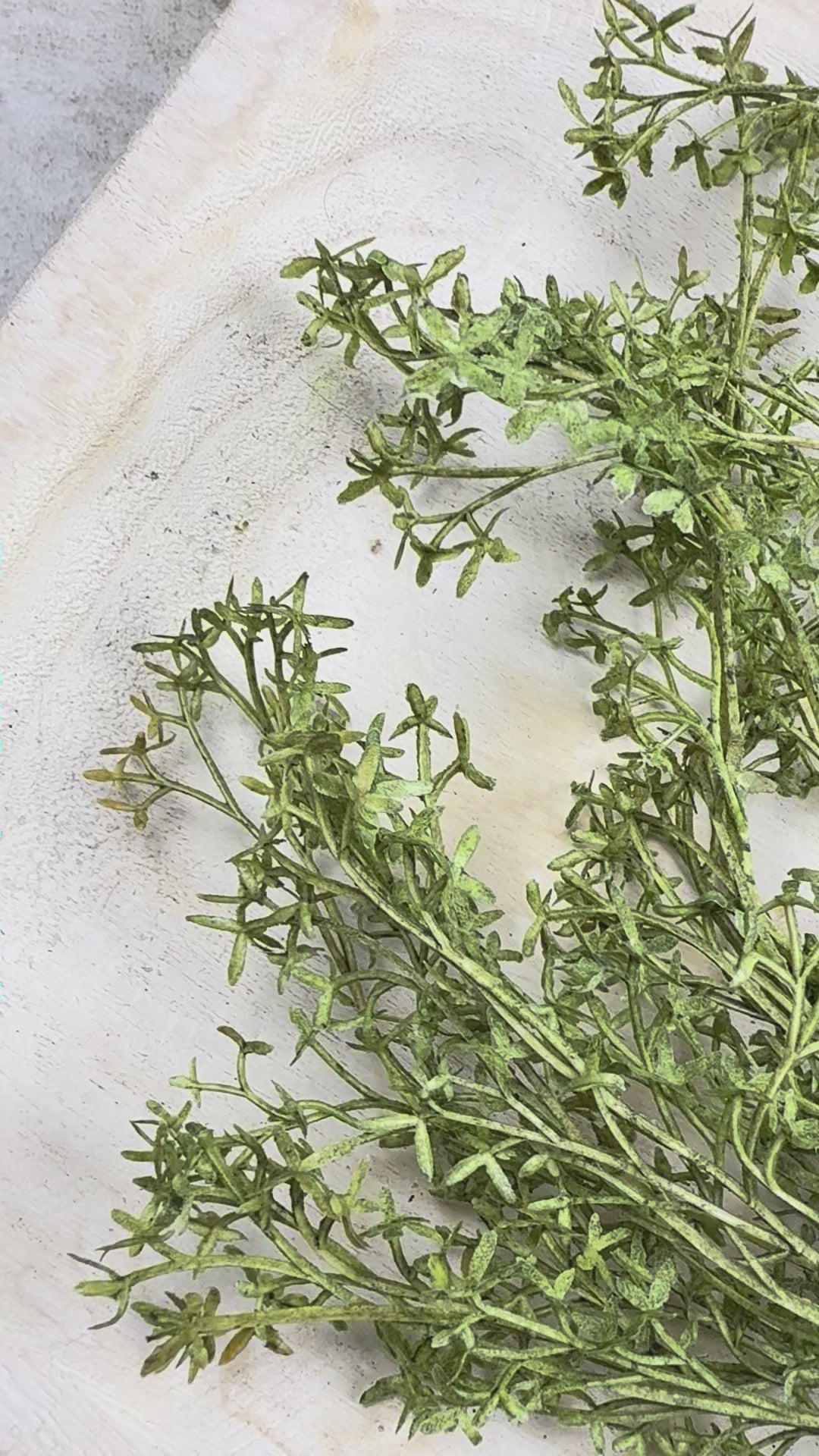 The Pressed Fern Spike Necklace